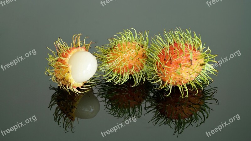 Rambutan Fruit Tree Tropical Thailand