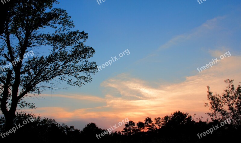 Nature Tree Dawn Outdoors Panoramic