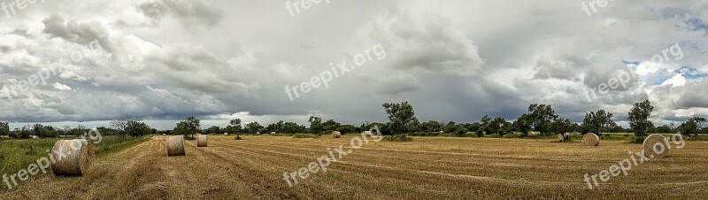 Panoramic Nature Landscape Field Farm