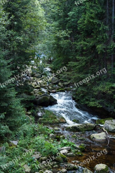 Nature River Waterfall Landscape Green