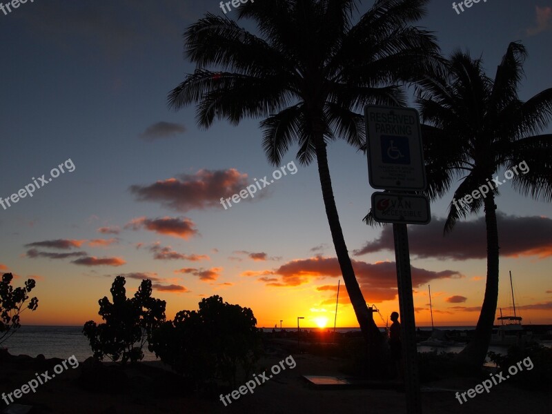 Beach Palmae Tropical Sun Nightfall