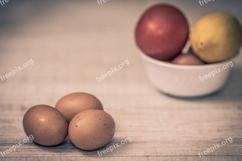 Egg Food Easter Nature Wood