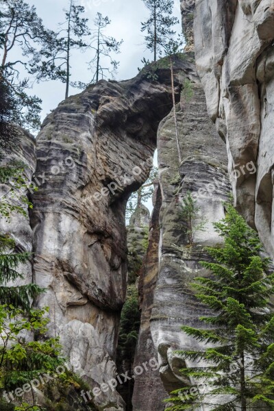 Nature Tree Travel Rock At The Court Of