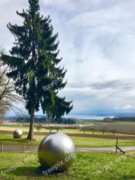 Tree Ball Meadow Lake Constance Round