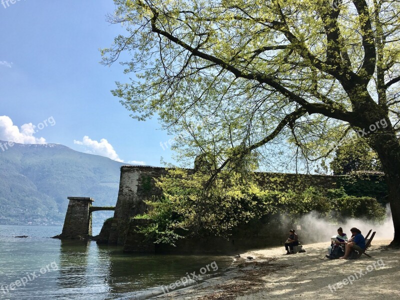 Waters Tree Nature Landscape River