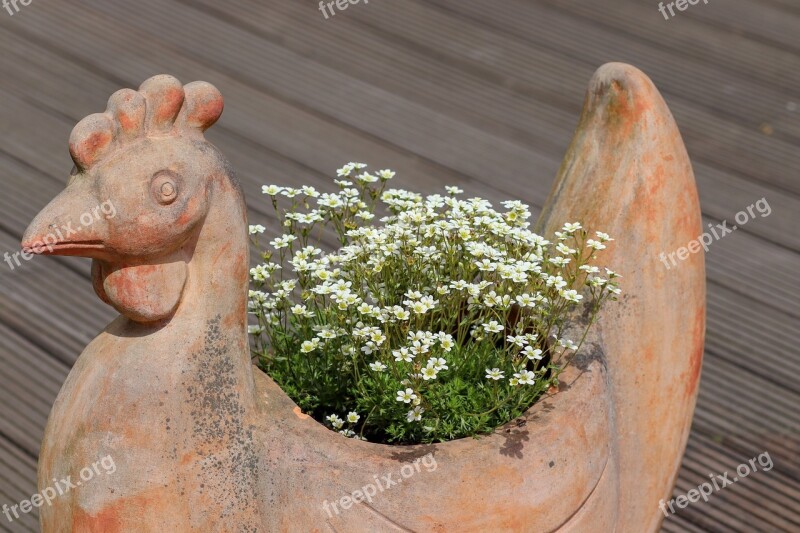 Nature Roof Garden Hahn May Roof Terrace