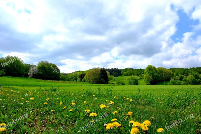 Landscape Grass Field Meadow Nature