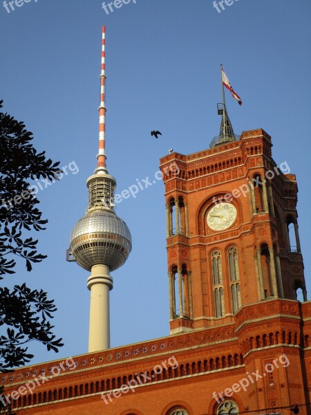 Tv Tower Red Town Hall Clock Berlin Bird