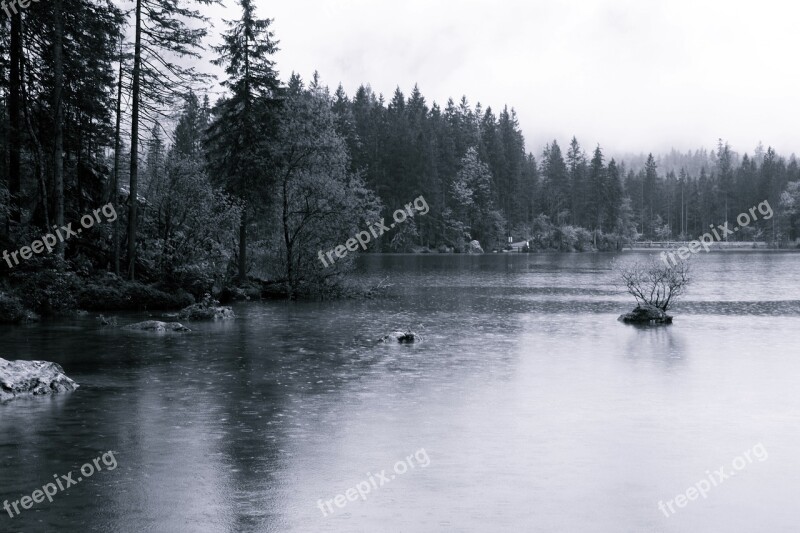 Ruhpolding Chiemgau Upper Bavaria Fog Haunting