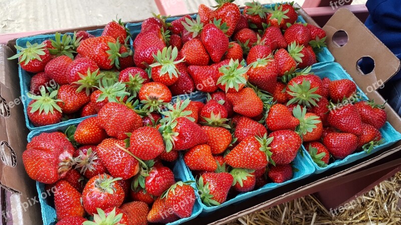 Strawberry Fruit Food Healthy Market