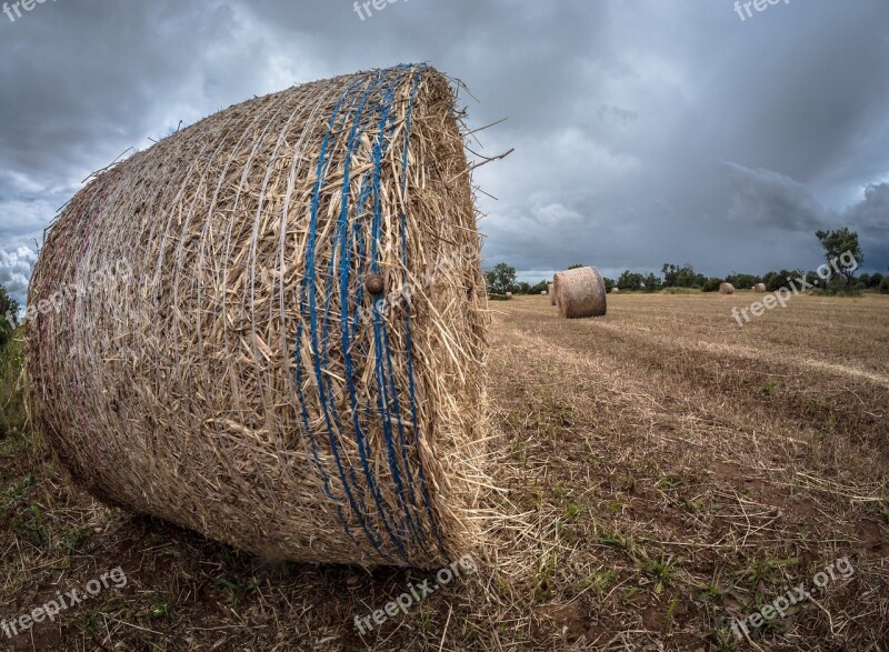 Hay Straw Farm Rick Pastures