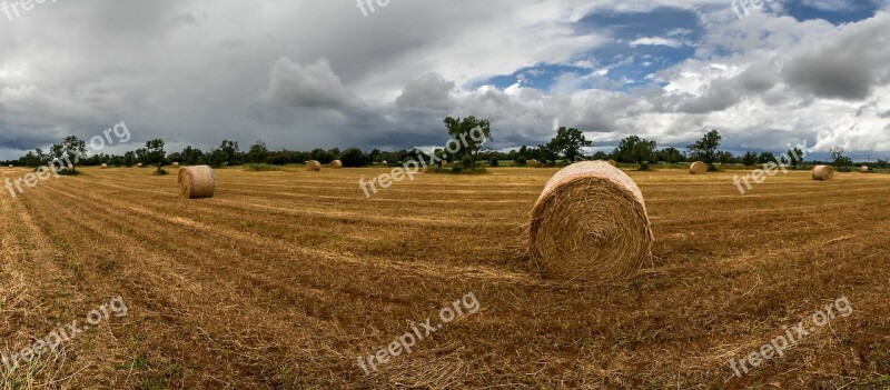 Rural Area Field Nature Landscape Spain