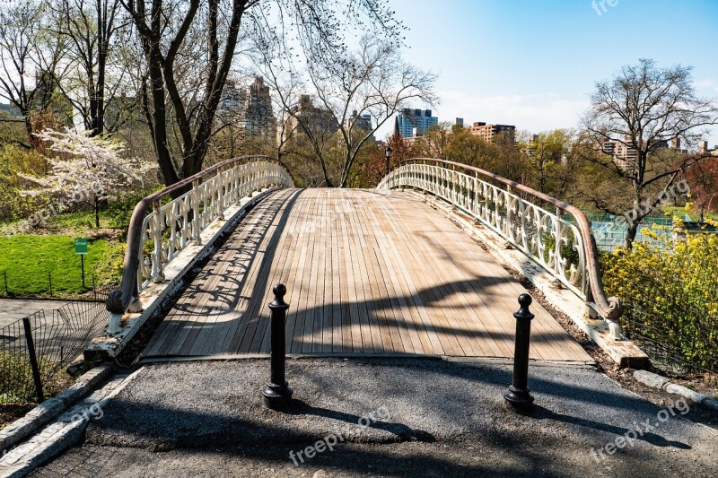 Central Park Bridge Spring Nature Tree