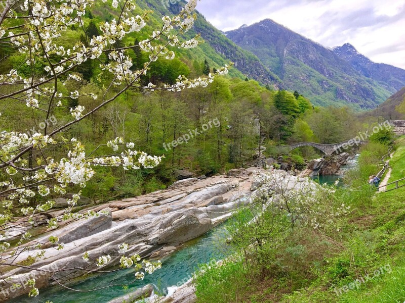 Nature Waters Landscape Mountain River