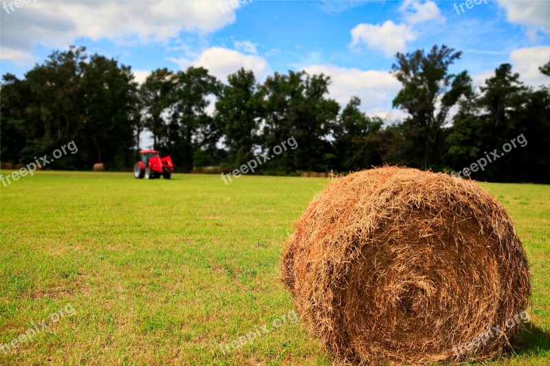 Grass S Scenery Nature Summer