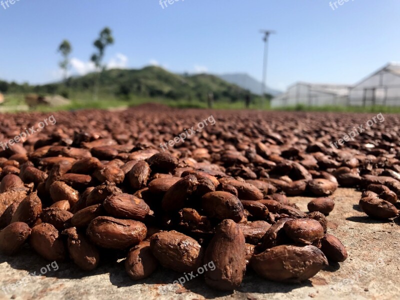 Dry Food Batch Nature Farming