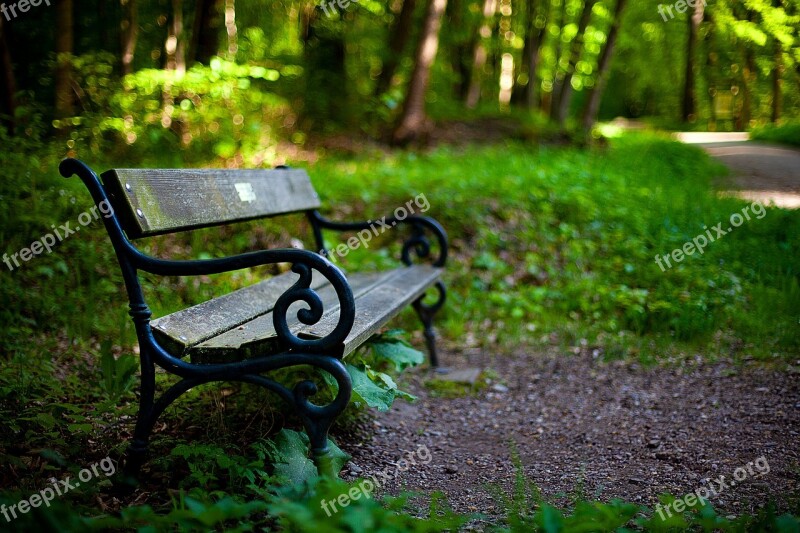 Bank Garden Nature Park Bench Steigerwald In Erfurt