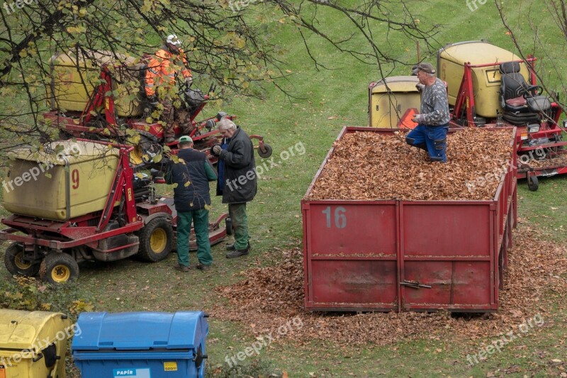 Cleaning Leaves Autumnal Fallen Leaves Free Photos