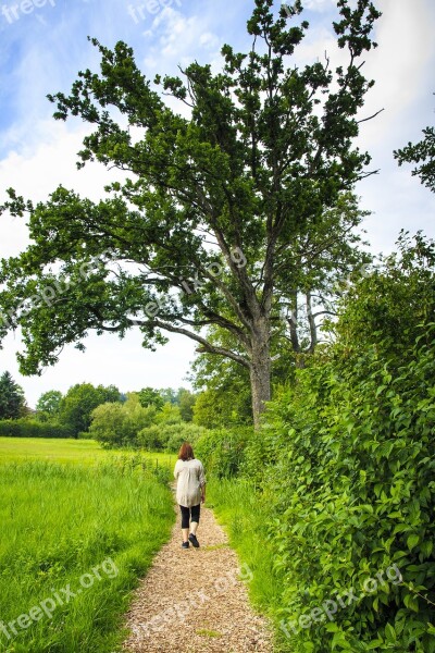 Walk Go For A Walk Summer Warm Nature