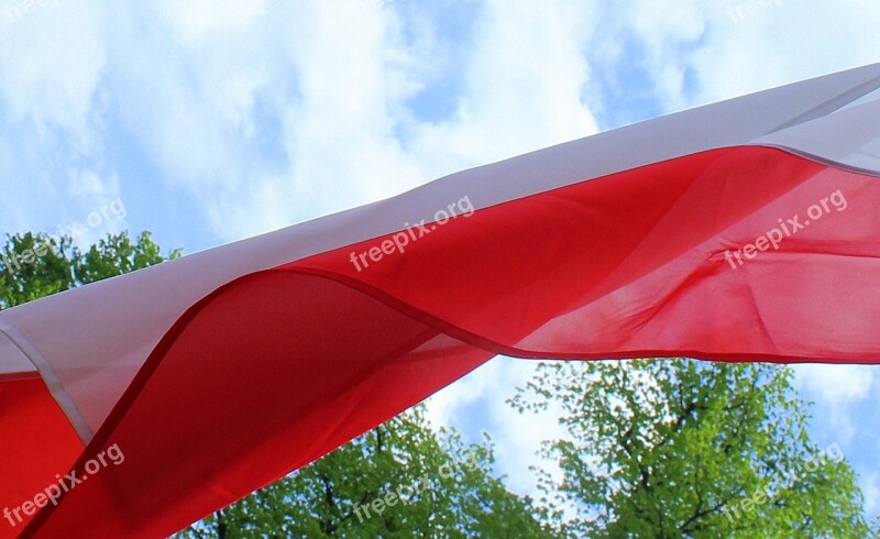 Polish Flag National Symbols National Day National Colors Nationality