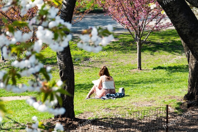 New York City Central Park Relaxation Sunbathing Spring