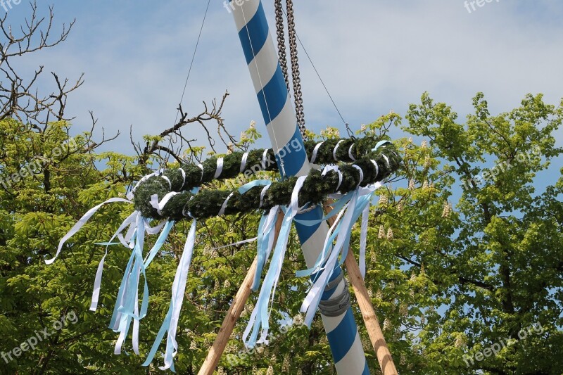 Sky Nature Tree Maypole Free Photos