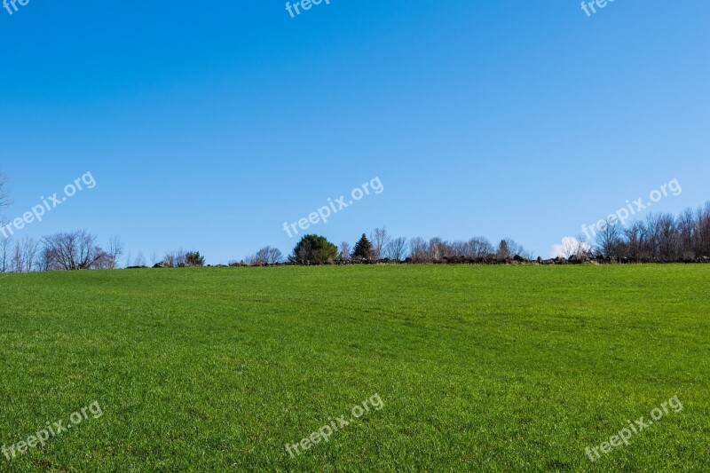 Grass Nature Panoramic Outdoors Field