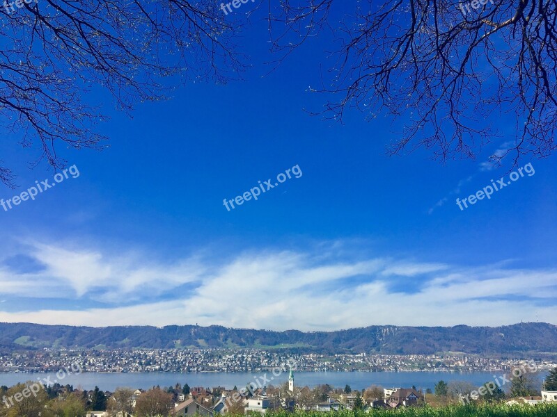 Tree Nature Sky Panorama Landscape