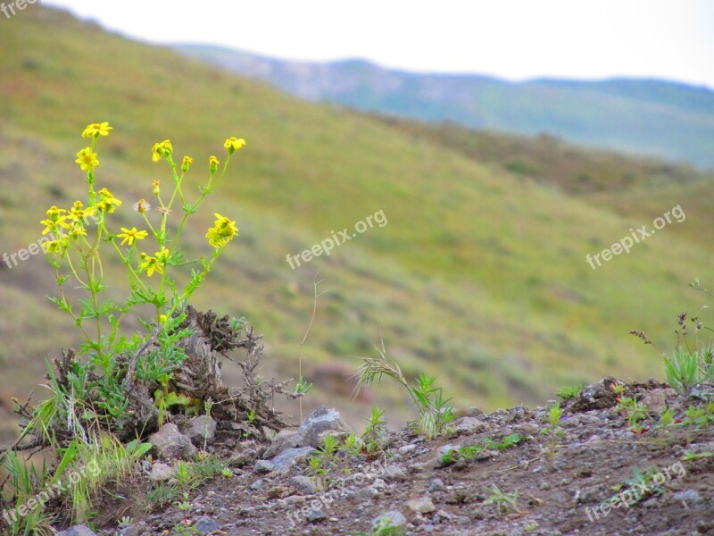 Nature Landscape Outdoor Grass Sky