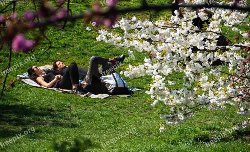 New York City Central Park Relaxation Spring Sunbathing