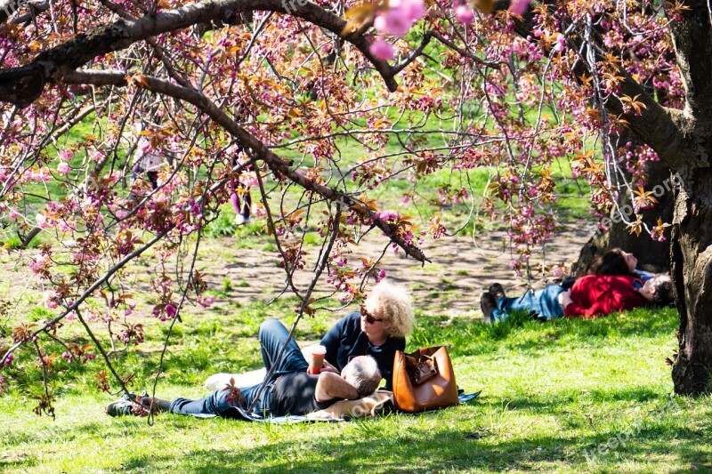 New York City Central Park Relaxation Couple Sunbathing