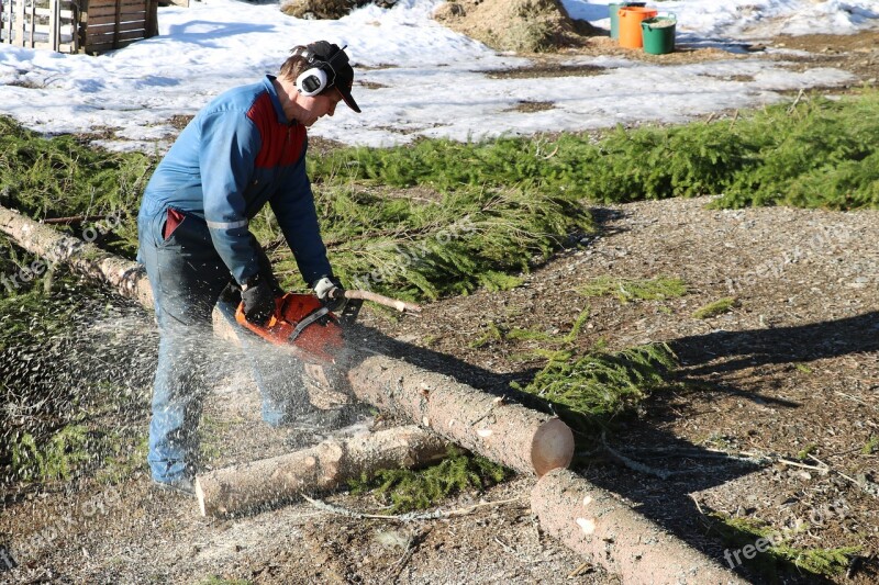 Nature Logger Chainsaw Firewood Log