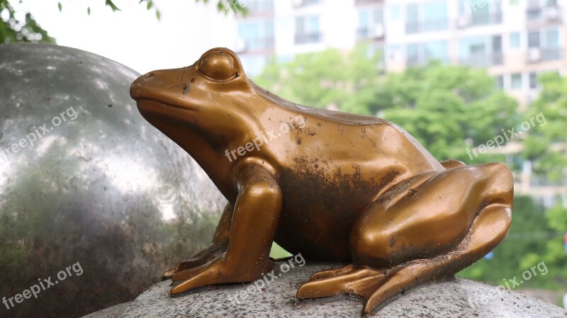 Frog Sculpture Amphibians Park Free Photos