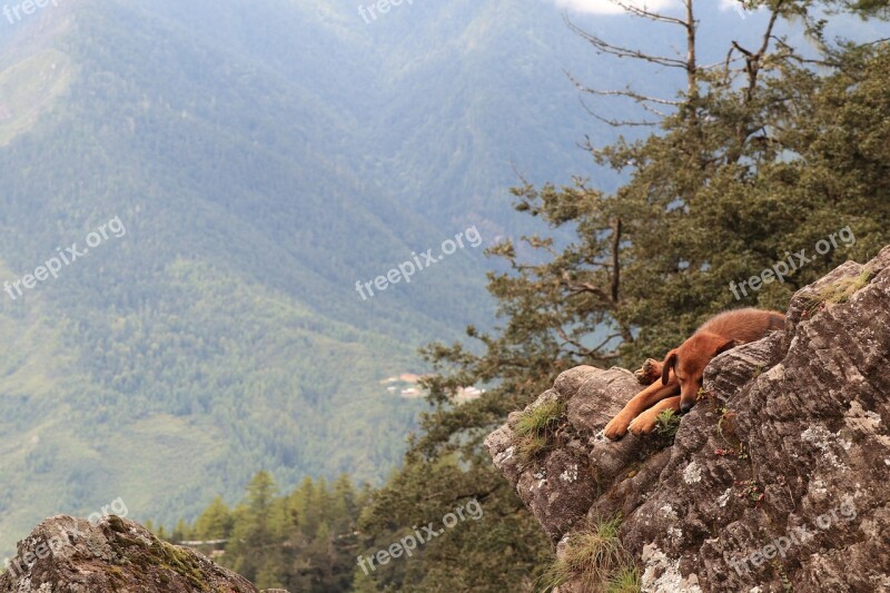 Nature Mountain Sky Landscape Outdoors