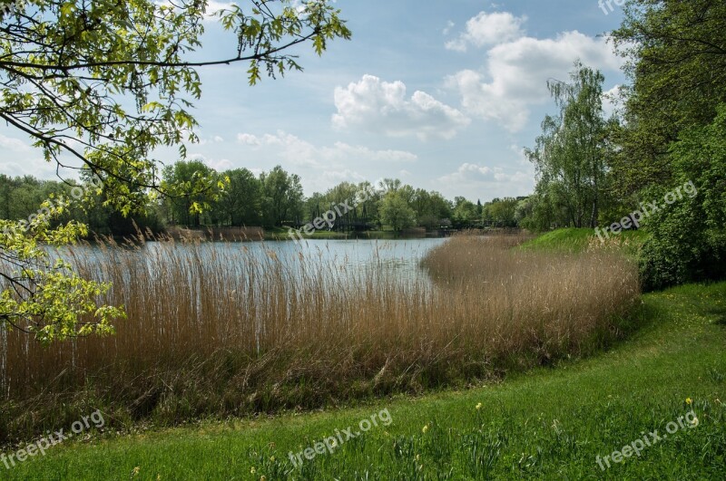 Nature Lake Bank Landscape Waters