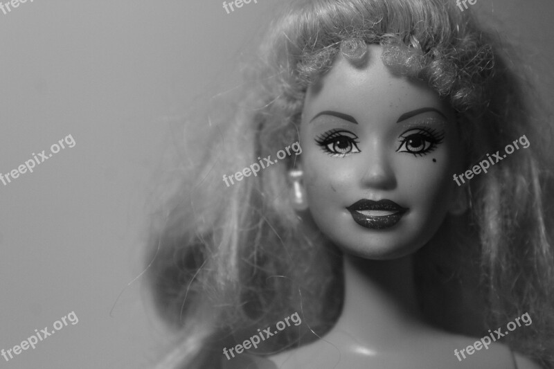 Portrait A Barbie Doll Face