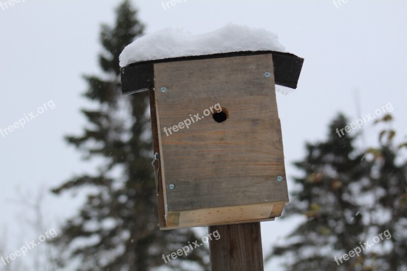 Winter Wood Outdoors Snow Birdhouse