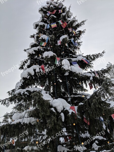 Winter Snow Tree Christmas Santa Claus Village