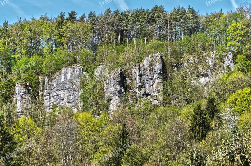 Rock Trees Landscape Forest Green