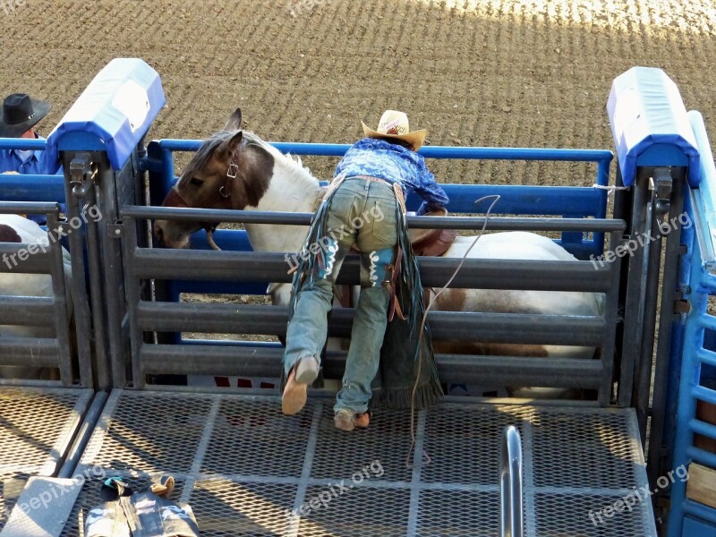 America Cody Rodeo Horses Saddle