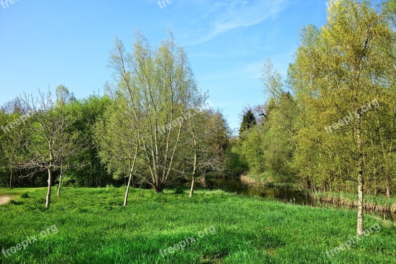 Landscape Field Trees Water Canal