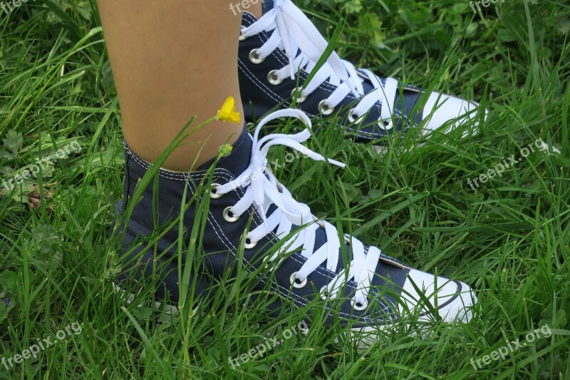 Converse Chuck Taylor Blue Grass Summer