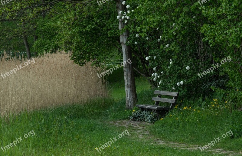 Nature Relaxation Rest Bank Wooden Bench