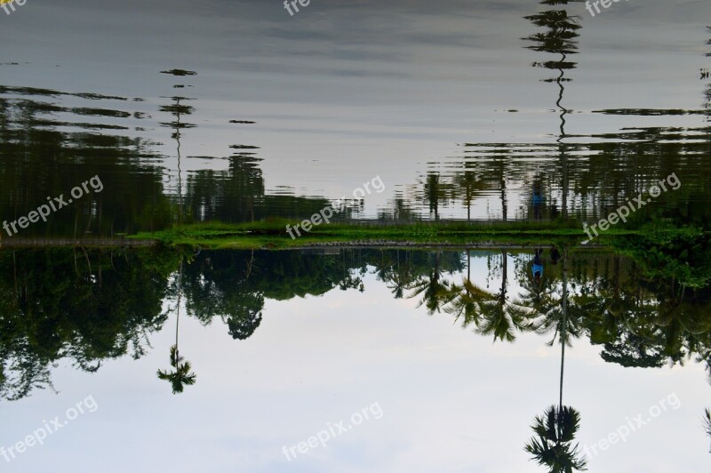 Water Reflection Nature Tree Sky