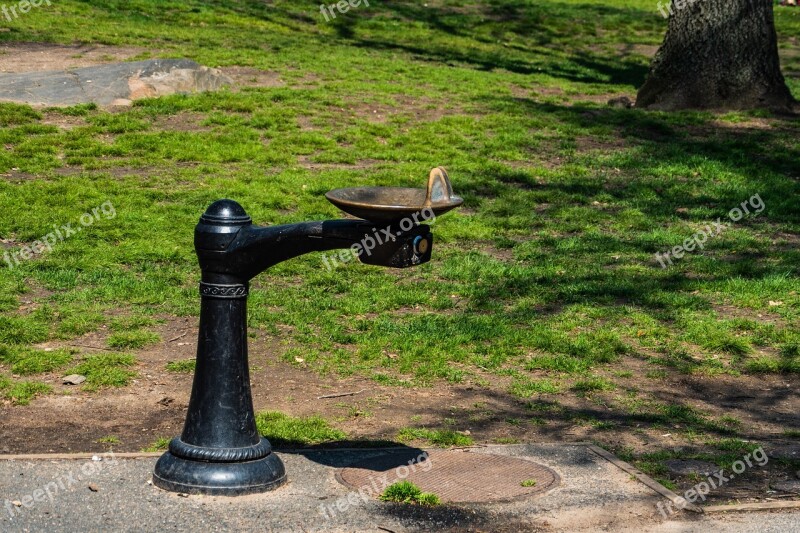 Drinking Fountain New York City Central Park Nature Outdoors