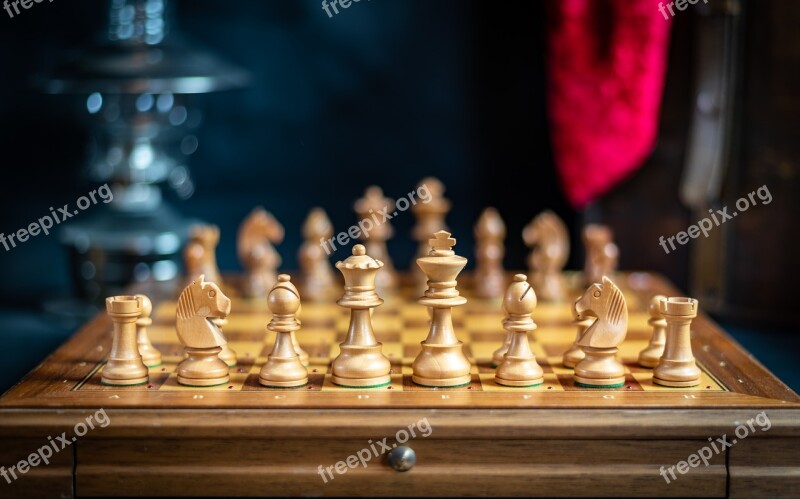 Chess Bauer Queen Knight Free Photos