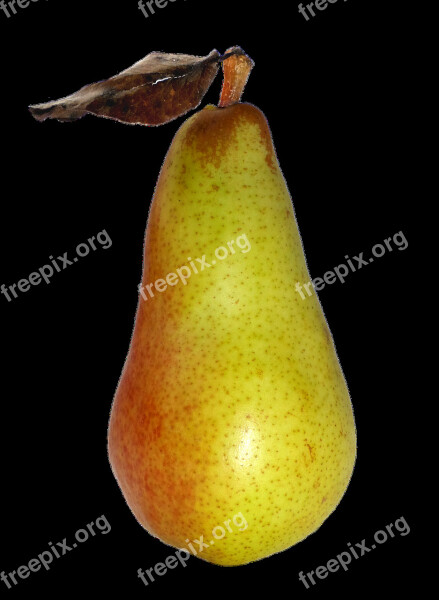 Pear Fruit Food Delicious Nature