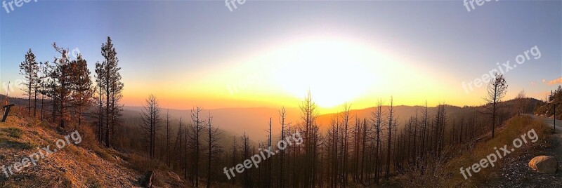 Panoramic Sunset Landscape Nature Trees