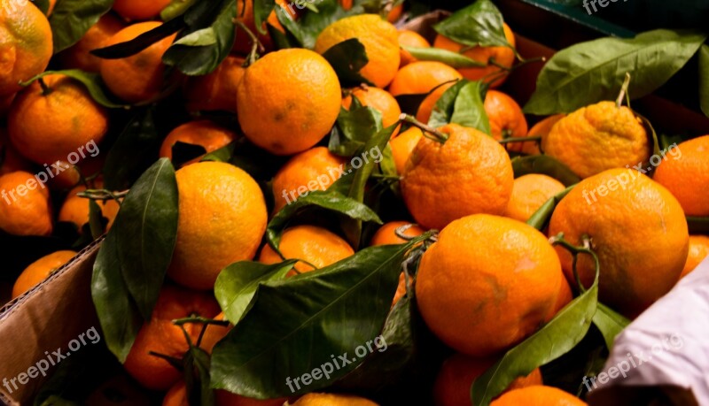 Fruit Food Citrus Confection Healthy