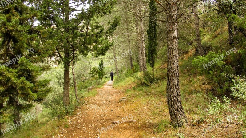 Horta De Sant Joan Hiking Tourism Nature Wood